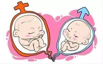 取卵手术室